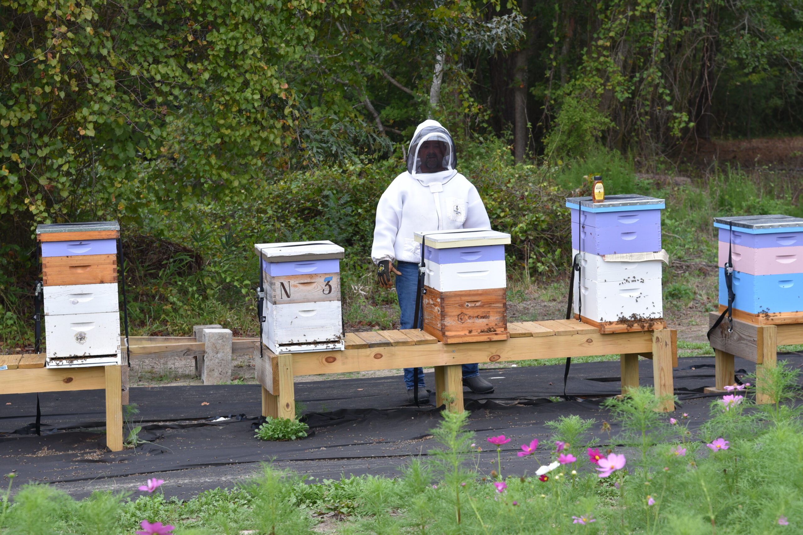 Beekeeper in protective suit among colorful beehives