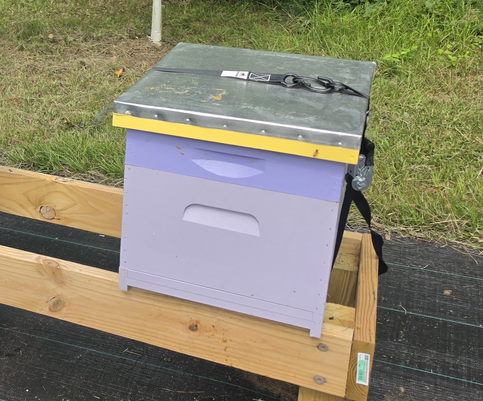 Single Deep Honey Bee Hive Package