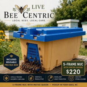 Blue nuc beehive box with bees