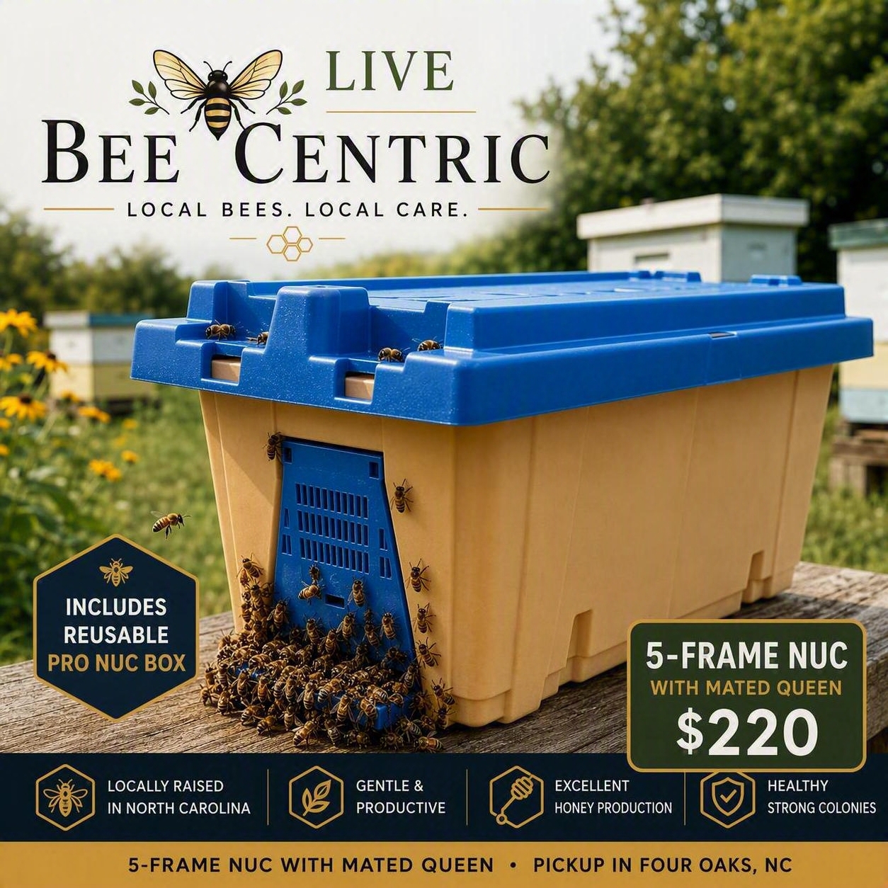 5-Frame Italian Honey Bee Nuc with Mated Queen