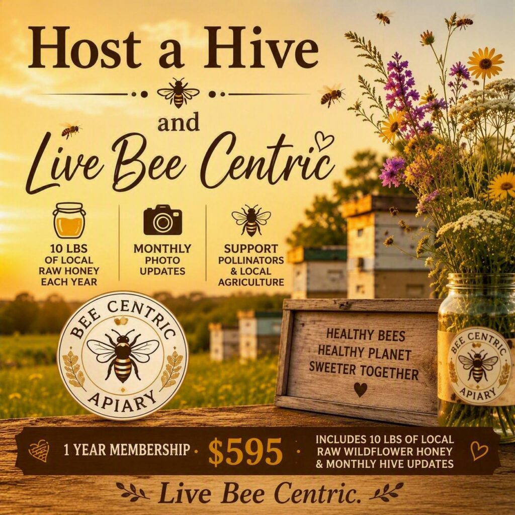Host a Hive